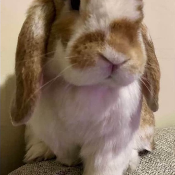 I am a creative and a designer. Lolasocean.etsy.com for one of a kind originals - Picture 3 of 3